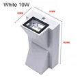 10W White Body