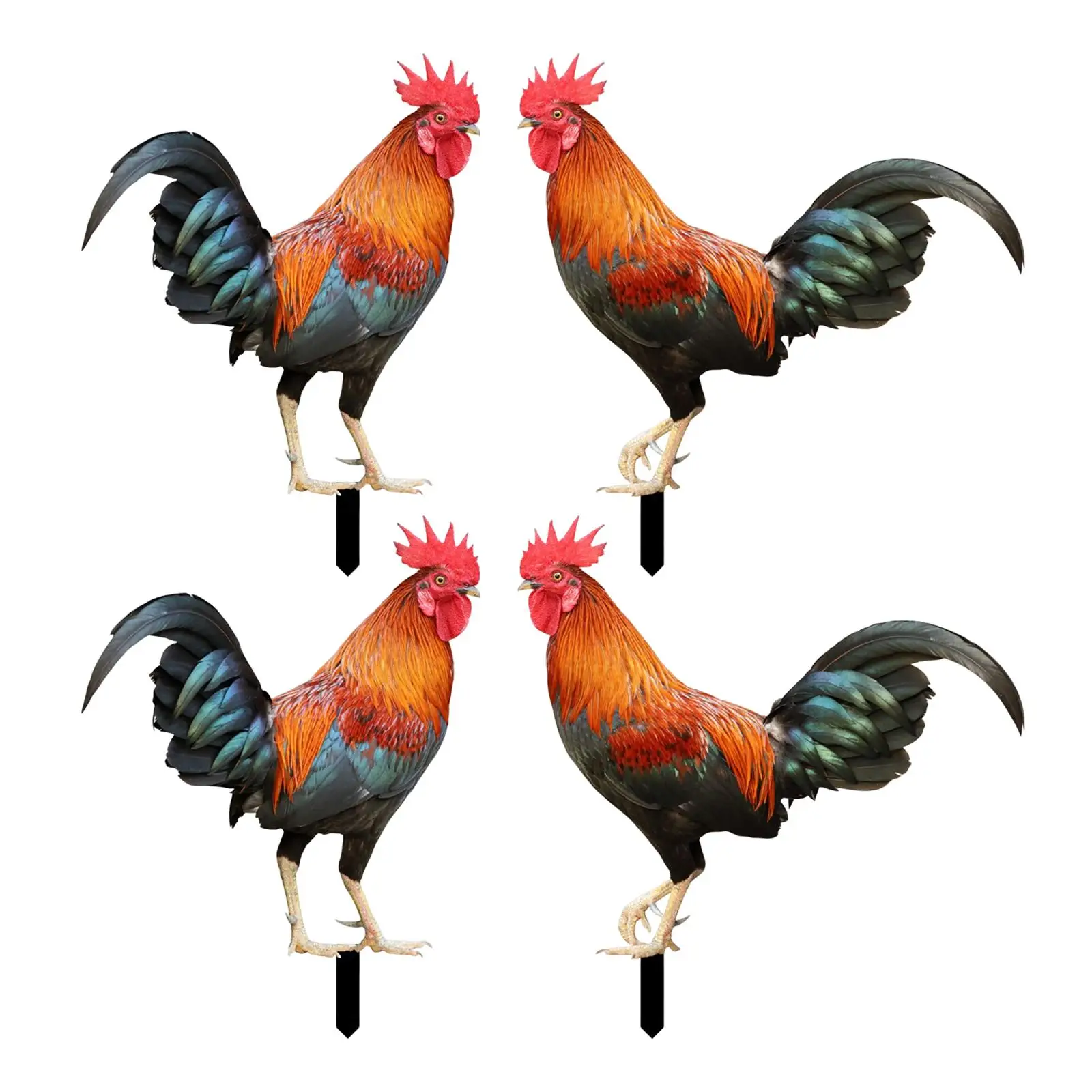 

Rooster Animal Statue Ornament Garden Stakes Standing Easter Decor Yard Sign Hen Decor for Patio Courtyard Pathway Lawn Yard