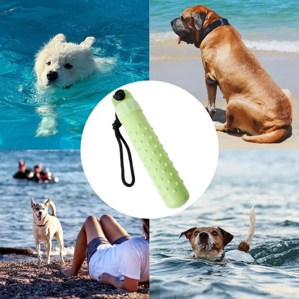 Jouet chien-FLOTTANT VERT
