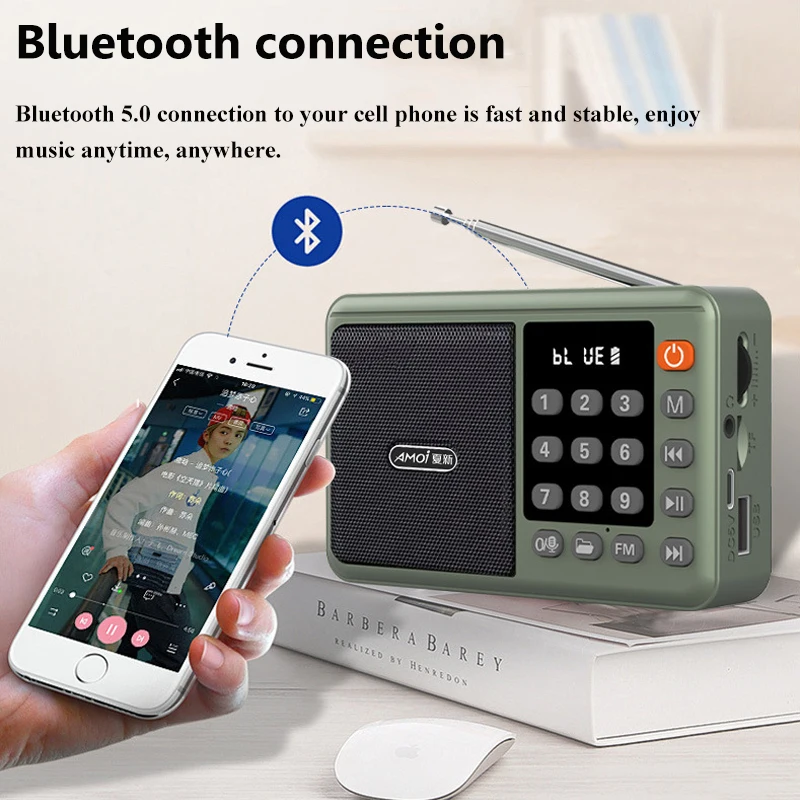 Mini Portable FM Radio LED Display Digital Radios Receiver Wireless Bluetooth Speaker USB TF Card Music Player Support Recording