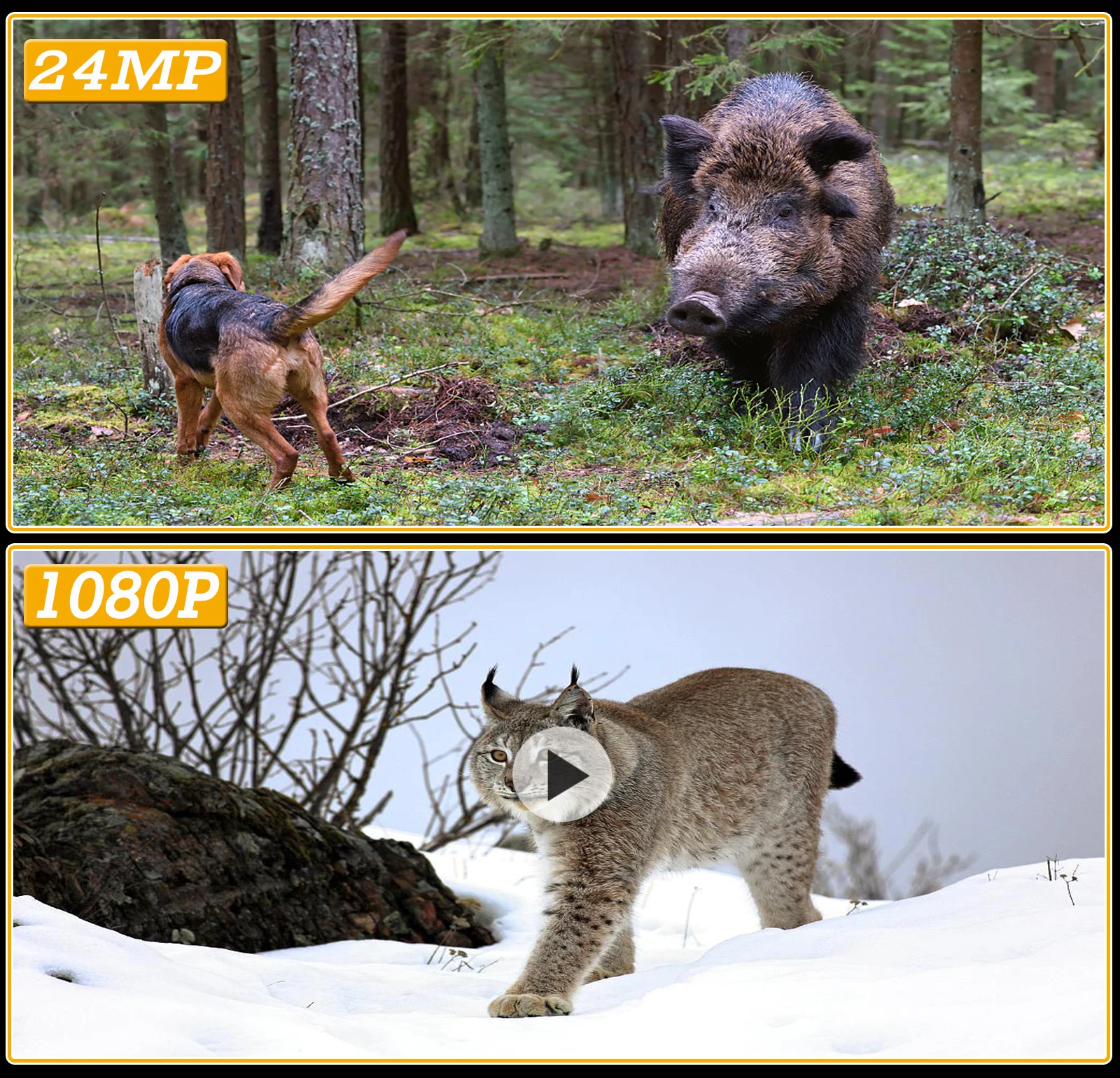 Trail Camera 24MP 1080P Wildlife Hunting Cameras Infrared Night Vision Photo Traps HC808A Wireless Surveillance Tracking Cams