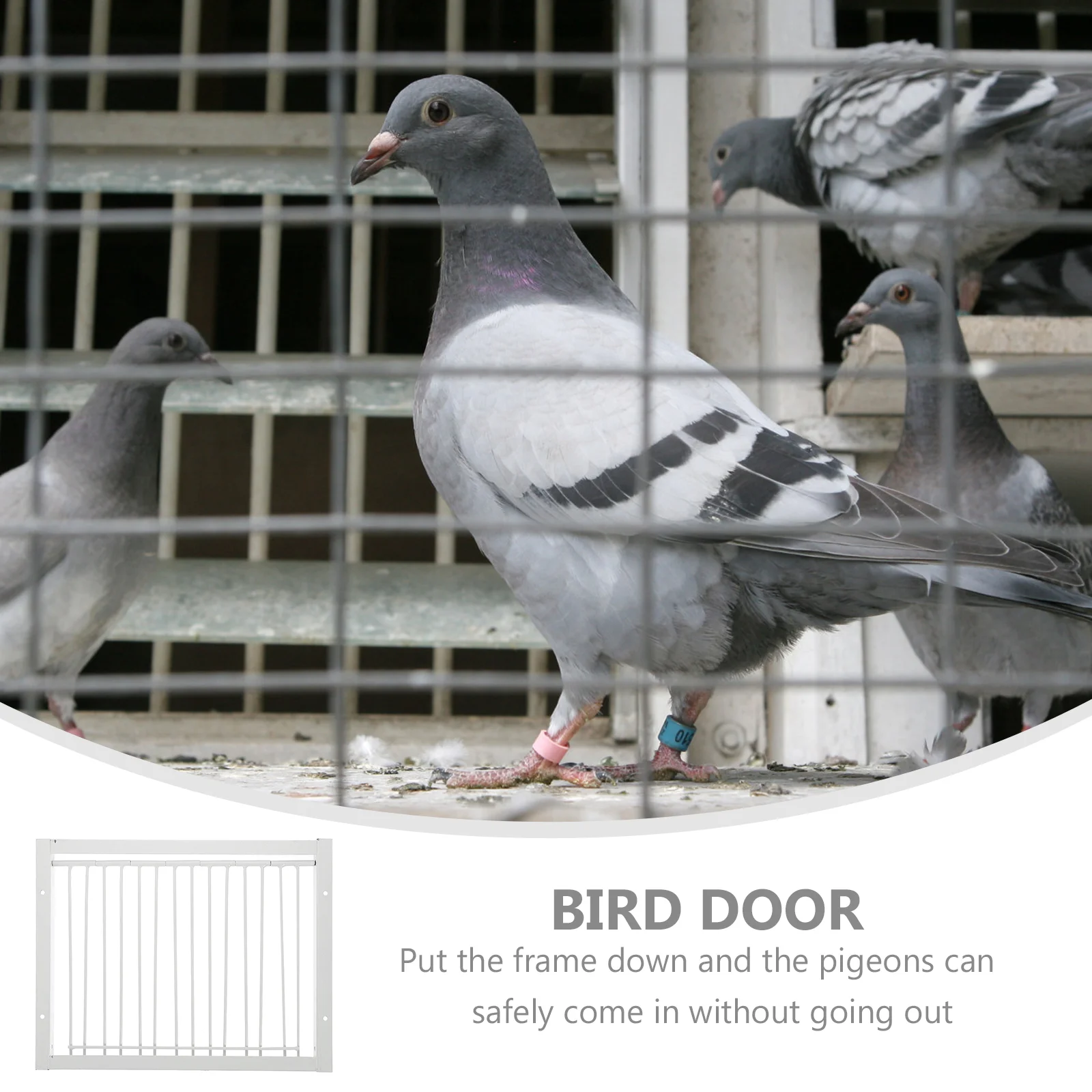 

Pigeon Entrance Door Metal Wire Bars Frame Single Entrance Trapping Doors Cage Pigeon Racing Supplies For Bird Cages