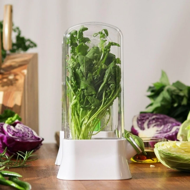 Saving Cilantro Container-Clear Herb Saver for Cilantro, Mint & Asparagus-Herb Savor Bottle Fresh Storage