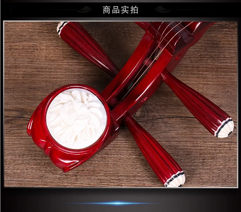 Pipa Chinese String Instruments Lute
