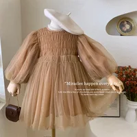Style coréen nouveau printemps automne enfants fille robe manches longues café col rond maille robe de princesse enfant vêtements E22001 6