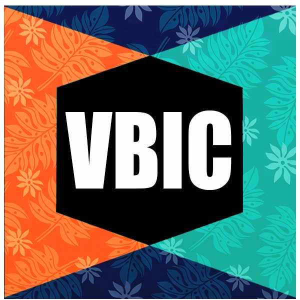 VBIC Store