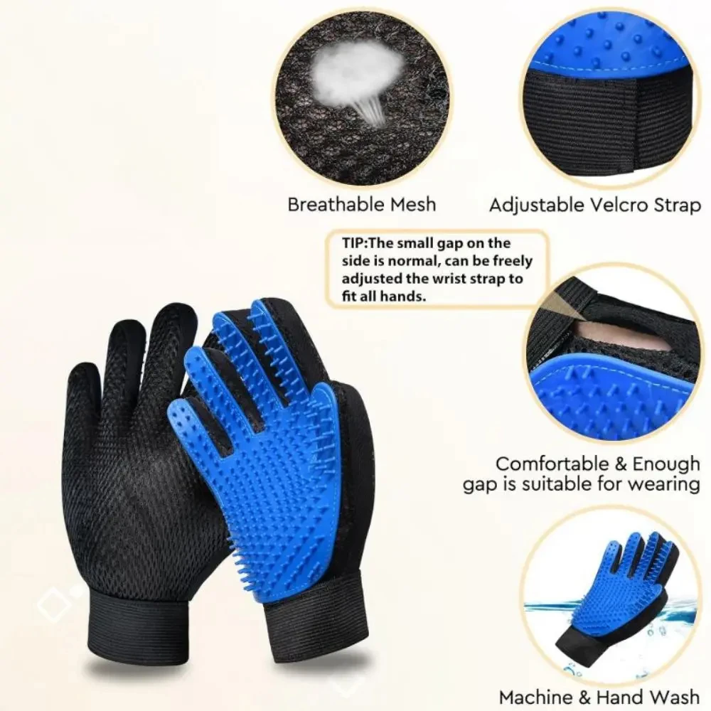 Clearance_Dog Supplies_Continuous updates