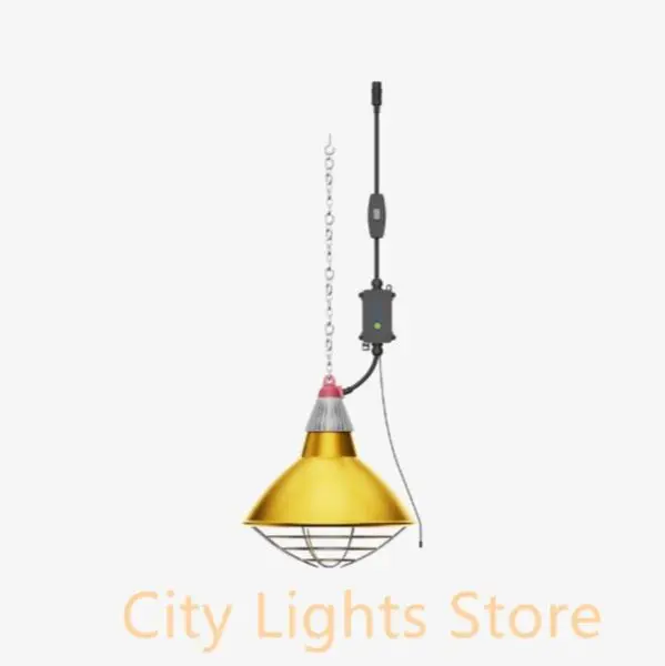 City Lights Store