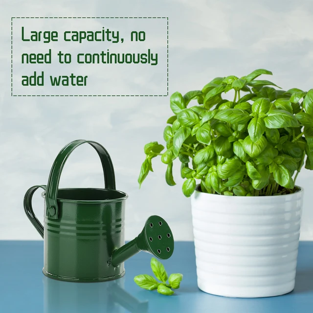 Tin Watering Can Plant Spray Wrought Iron Portable Gardening Tools Metal Sprinkled With Handle Shower for Watering & Irrigation  6