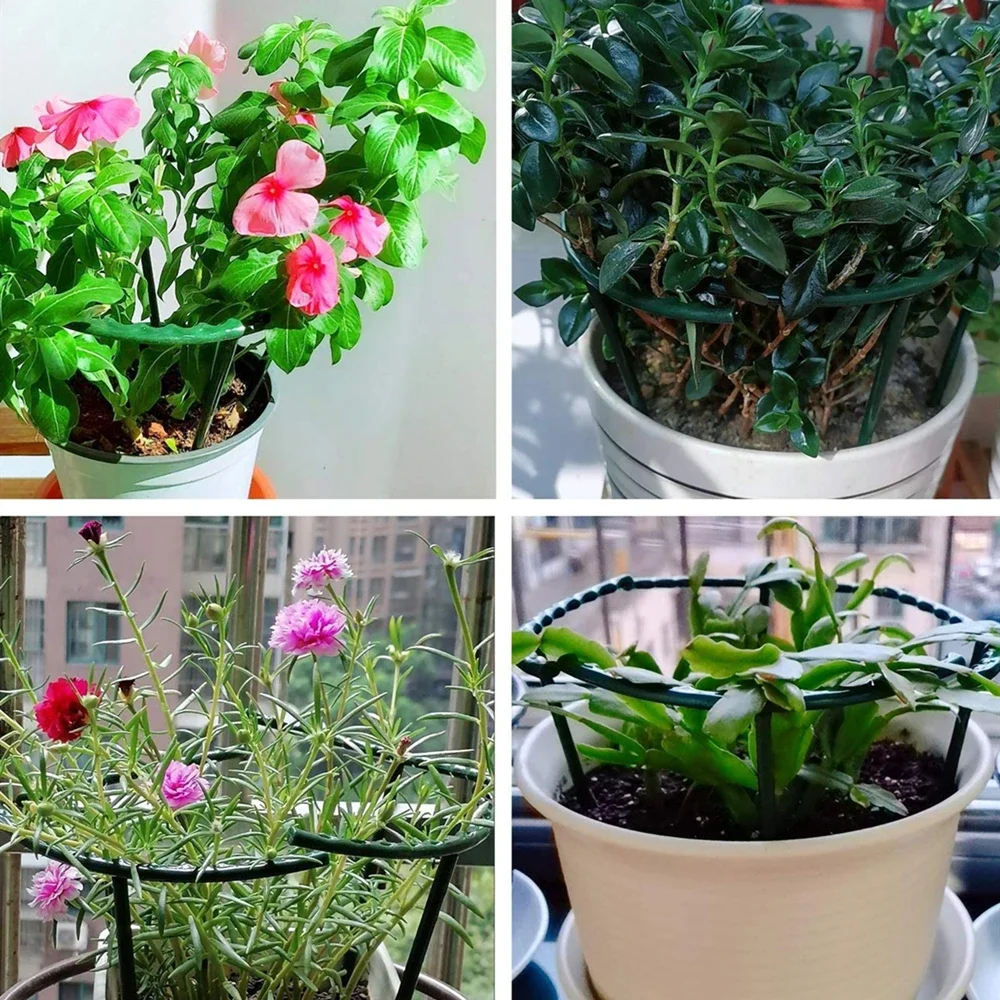 Plastic Plant Support Pile Frame Greenhouse Arrangement Semicircle Fixed Rod Indoor Flower Plant Vine Climbing Bracket