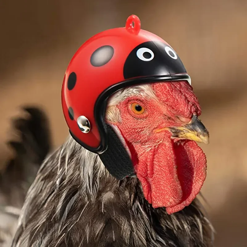 Chicken Helmet Sun Rain Protection Outdoor Henhouse Protective Gear For Hens