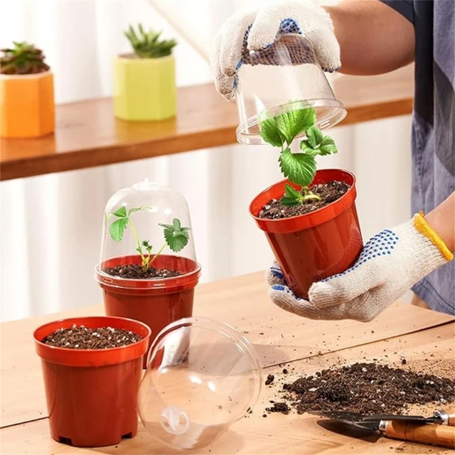 60 Pack Seedling Starter Pots Pynqdfu 60-Pack 1 Gallon Nursery Pots - Plastic Plant Pots With Drainage Holes For Gardening Gardening Nursery Containers