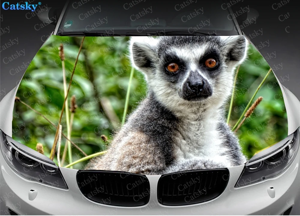 Фото Виниловые стикеры на капот автомобиля Lemur catta, виниловая пленка, наклейки на крышку двигателя, автомобильные аксессуары №2