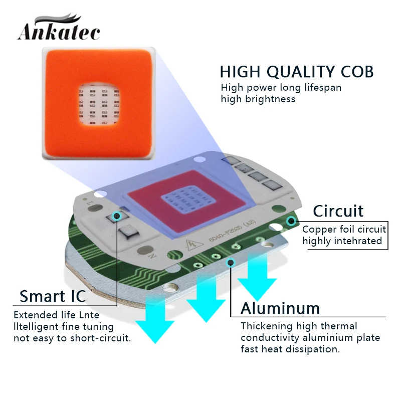 Red + Blue LED COB Plants Lamp 20W 30W 50W AC 110V 220V High Voltage Drive Free High Power Integrated Surface Light Source Panel