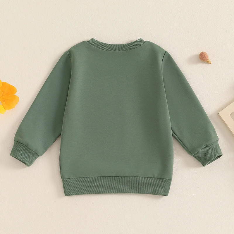-06-13 Lioraitiin 1-5Y Autumn Toddler Kids Boys Sweatshirt Long Sleeve Crew Neck Letters Print Pullover Tops