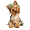 50/100pcs Dog Bows Spring Style Small Dog Bows Pet Dog Cat Hair Accessories Rubber Bands Dog Grooming Accessories 5