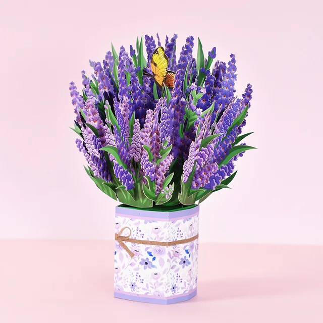 Image 17