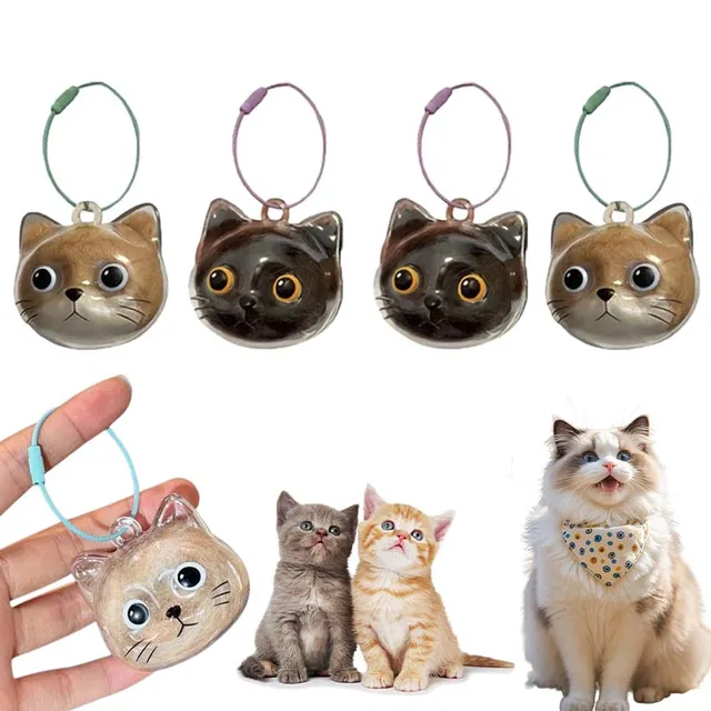 Cat Hair Storage Keychain Transparent Box Creative Pet Fur Keepsake Holder Hanging Pendant Portable Cat Fur Organizer Accessory