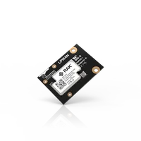 Module for LoRaWAN with Semtech LoRa Chip SX1262 | RAK13300 1