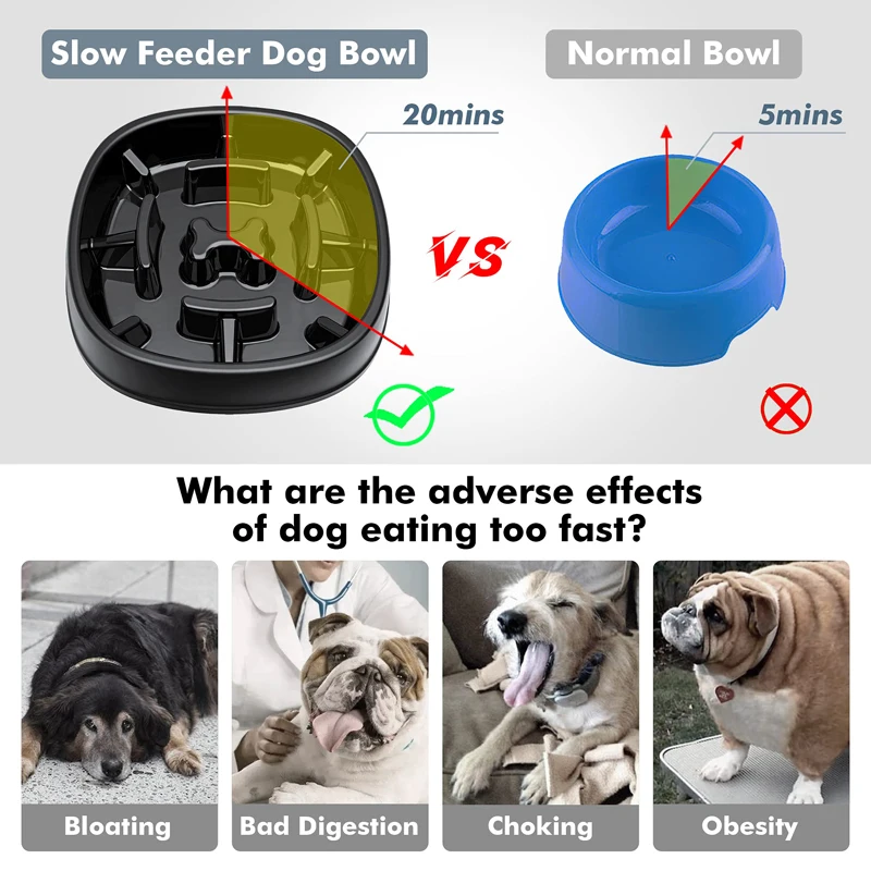 Is A Dog Eating Too Fast Bad