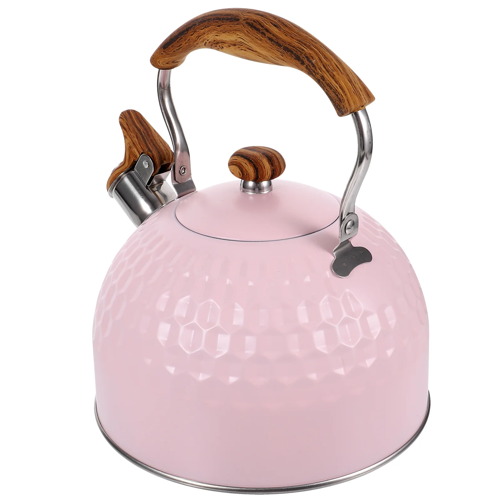 

Stainless Steel Whistling Kettle Metal Pot Sounding Kettle Pot Hot Water Pot for Kitchen
