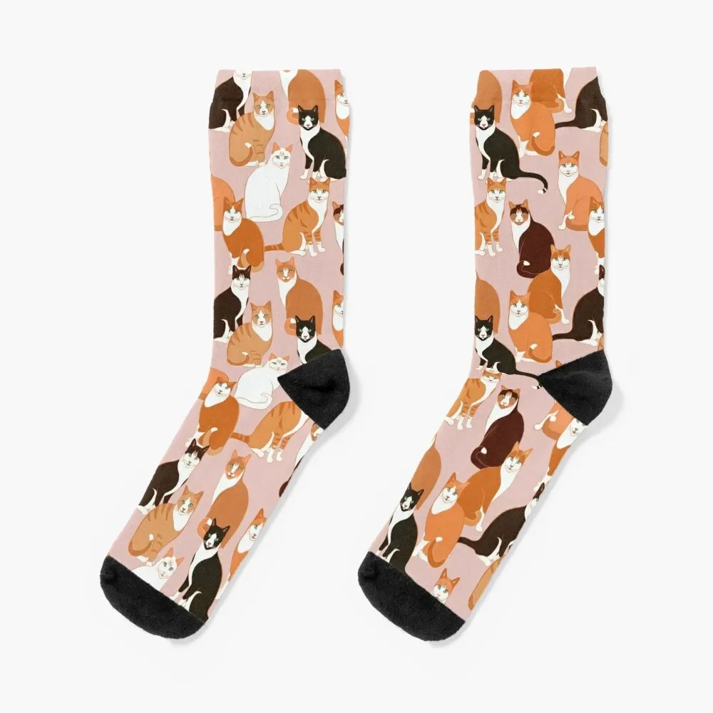 Ginger Cats on pink Socks FASHION Climbing Stockings man Women's Socks Men's