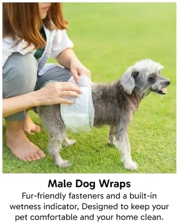 Male Dog Wraps Image