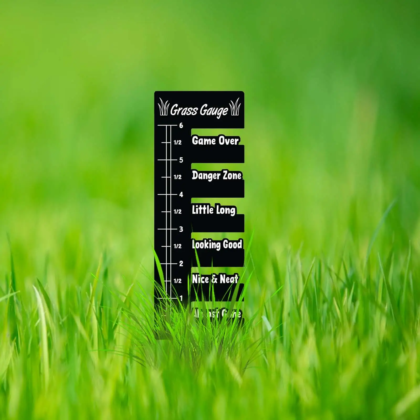 

Grass Gauge Lightweight Lawn Measuring Ruler Tool Prune Plant Measuring Tools Outdoor Grass Ruler for Yard Landscaping Garden