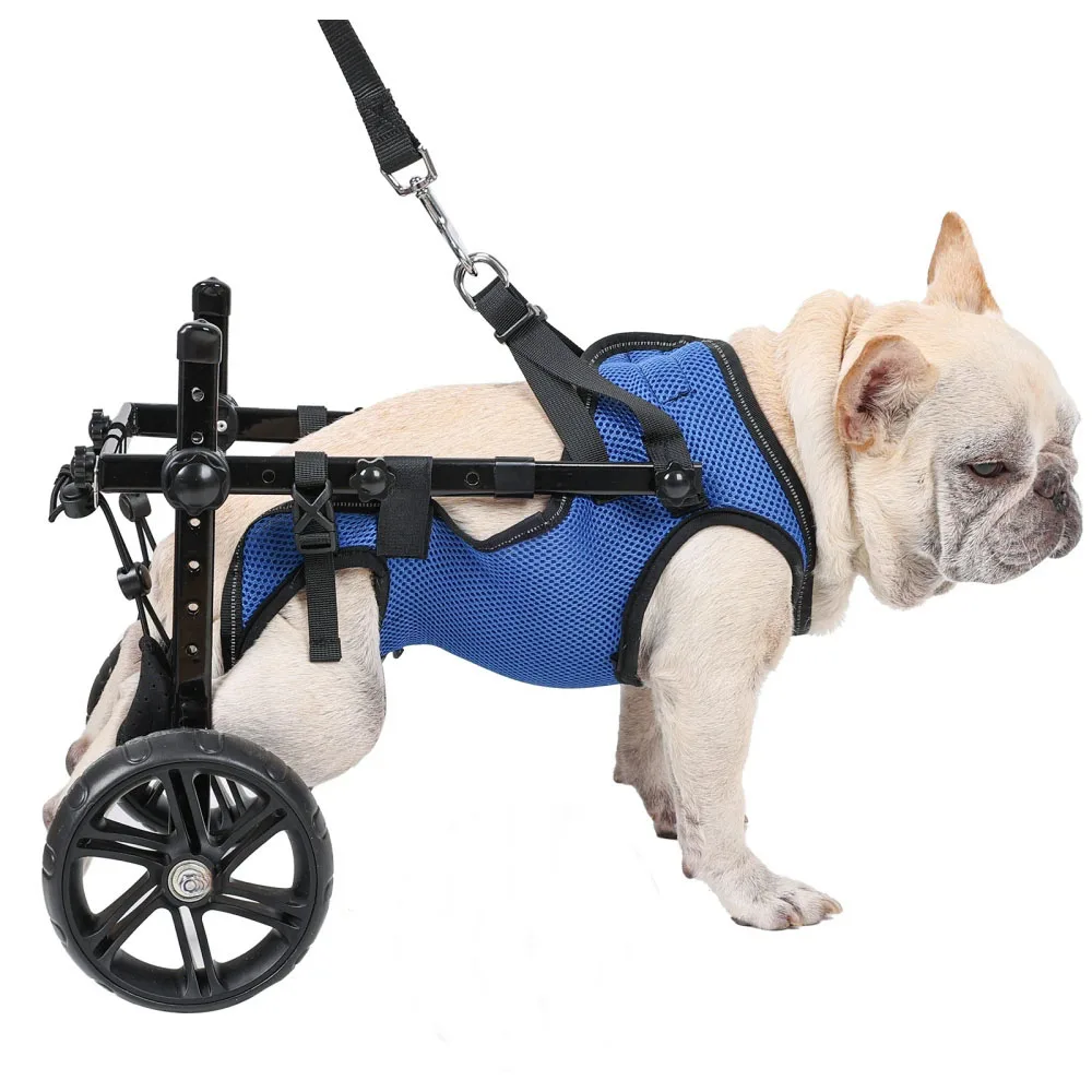 

Big Wheel Adjustable Small Dog Wheelchairs Mobility Aids For Disabled Pets Dog Leg Brace And Hip Support