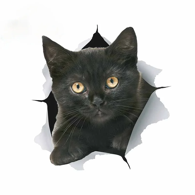 

Y167 # Автомобильная наклейка рваная кошка, водонепроницаемая виниловая наклейка, автомобильные аксессуары, наклейка для автомобиля «сделай ...