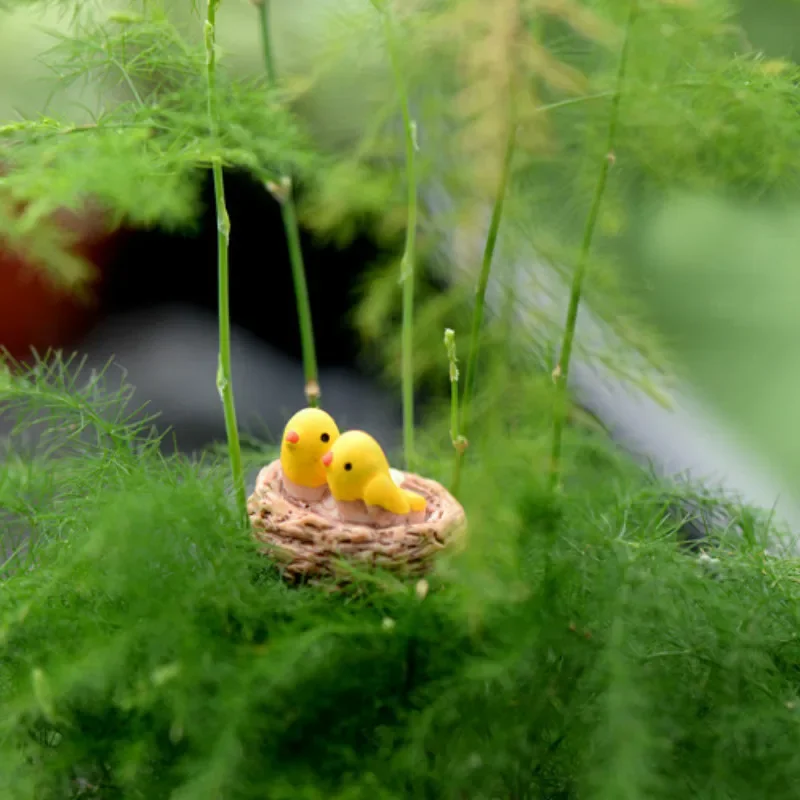 Mini Nid Avec Des Oiseaux Fairy Garden Miniatures Gnomes Moss