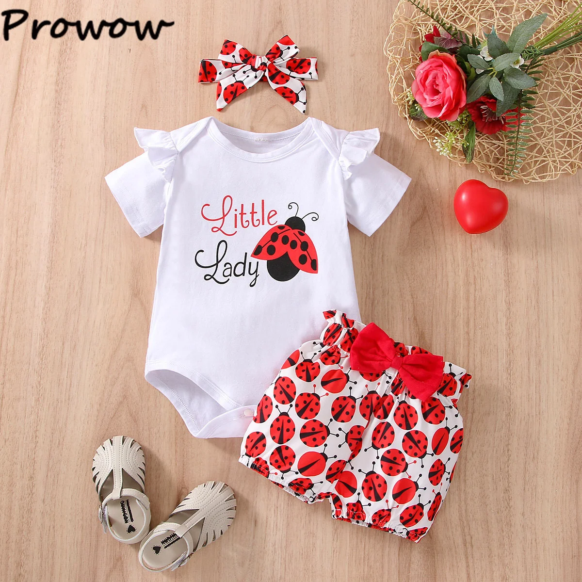 Prowow     Ʈ, ƿ  ٵ Ʈ,     ŵ ,  ֵ , 3 