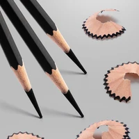 Professional 2H HB B 2B 3B 4B 6B 8B 12B 14B Sketch Drawing Graphite Charcoal Pencils Set Drawing Sketching for Artists Beginners 5