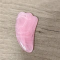 Pink sheep horns