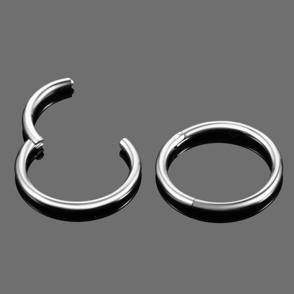 G23 Titanium Hinged Segment Nose Ring 16G 14G Segment Lip Ear Ring