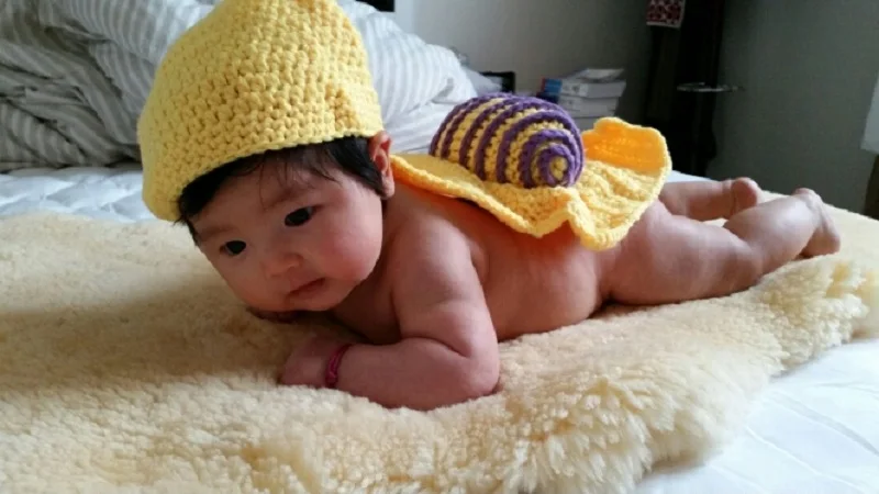 baby show snail