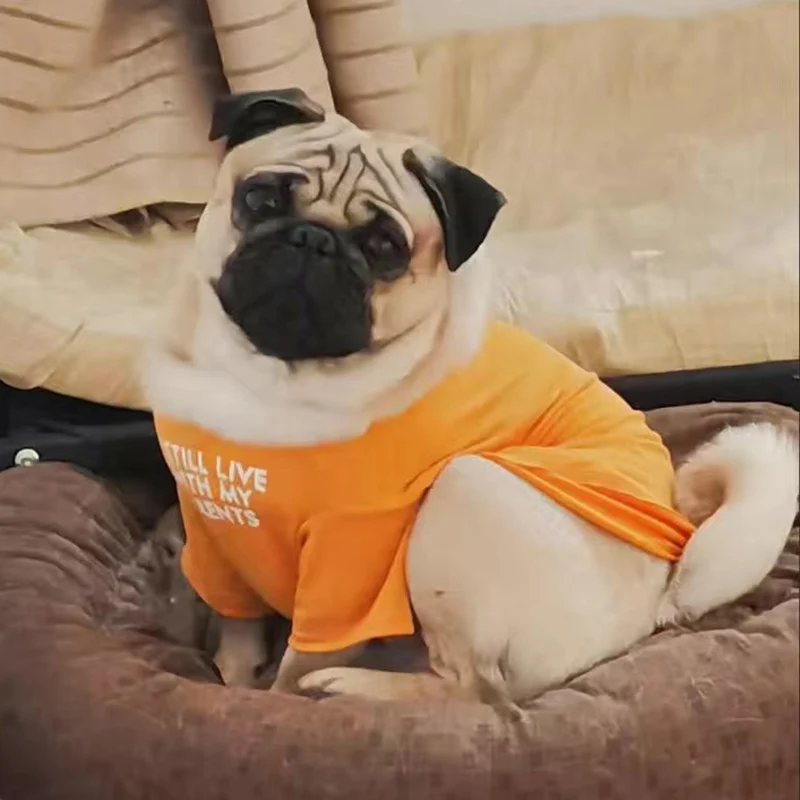 T Shirt Spring Autumn Pet - PeticaDeals
