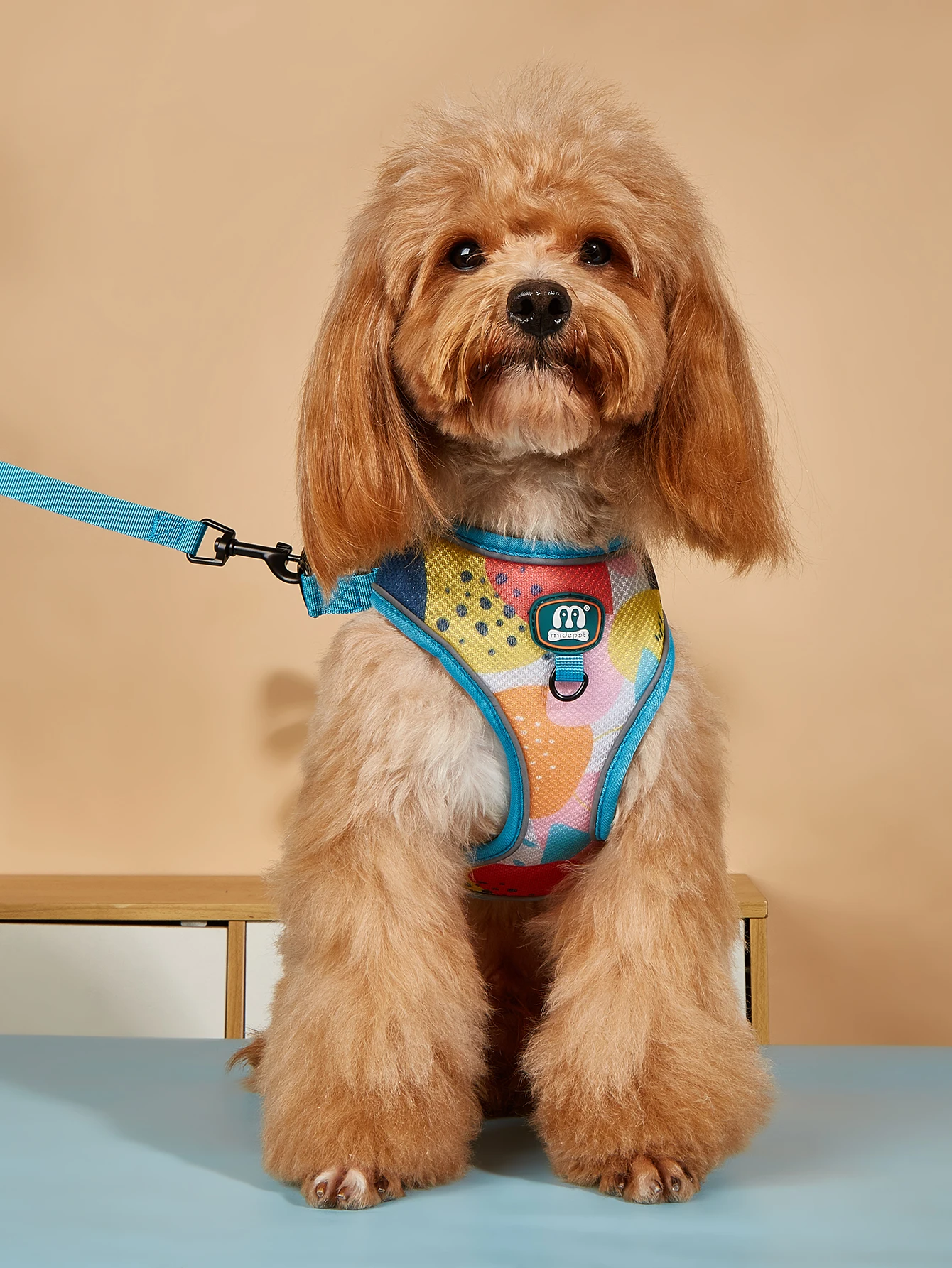New Arrives Adjustable Soft Mesh With Fashionable Design Pet Harness And Leash Set 2