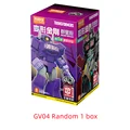 GV04 Random 1box