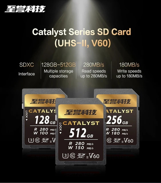 EXASCEND Professional SDXC Memory Card High Speed V60 U3 C10 SD