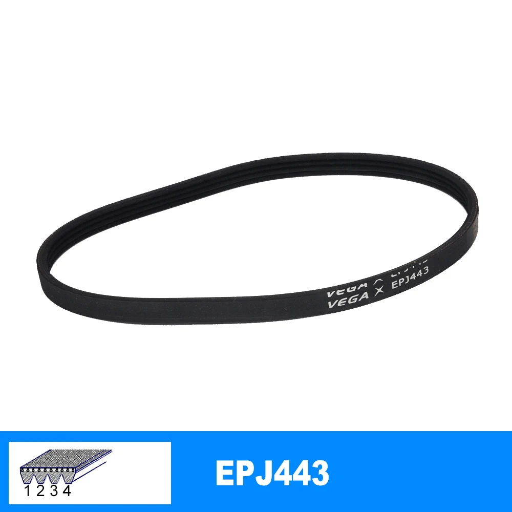 7Ribs EPJ443 Courroie De Transmission, Courroie D