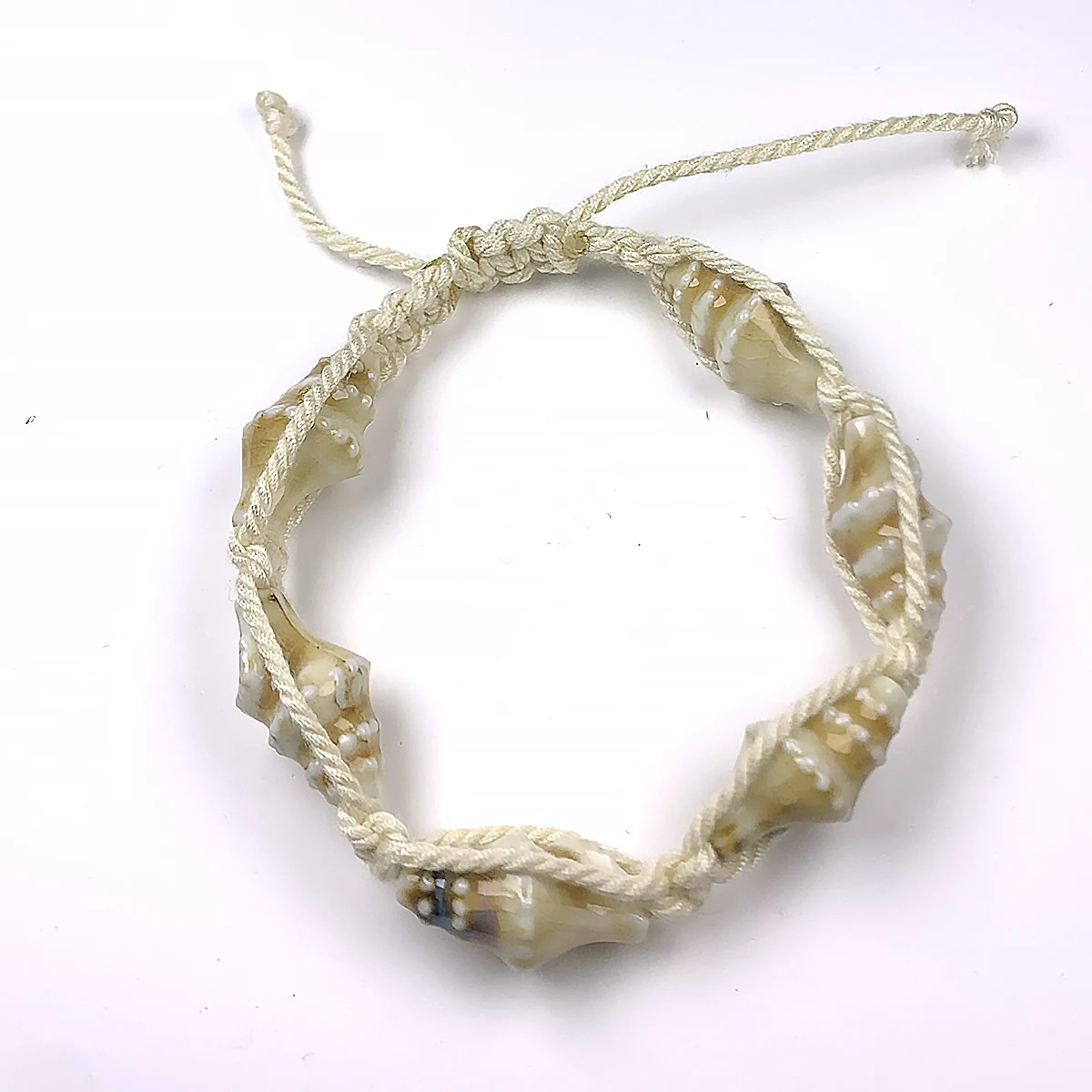 Elegant Beige Conch Ceramic Beads, 20mm Handmade Shell Charms for DIY Jewelry and Gifts