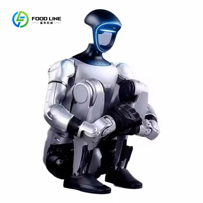 Robot Umanoide Intelligente Integrato Personalizzato Cinese, Robot AI per Assistenza Domestica, Robot Industriale per Fabbriche - immagine 3