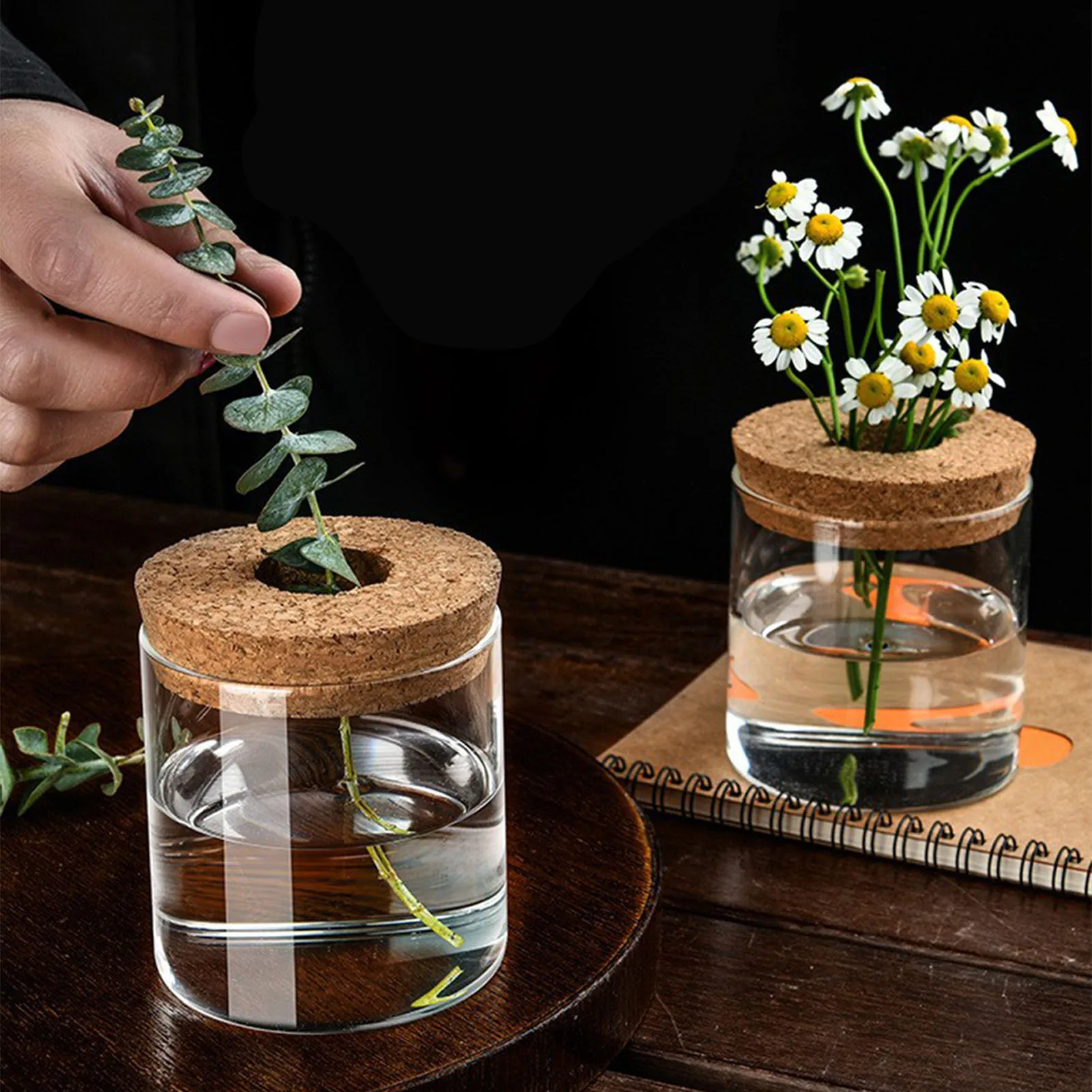 Creative Hydroponic Flower Pot for Home and Office Decor