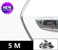Silvery-5M