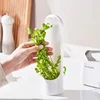 1 Pack Fresh Herb Preservation Bottle Herb Vegetable Preservation Bottle Herb Fresh Storage Container Kitchen Gadget 2