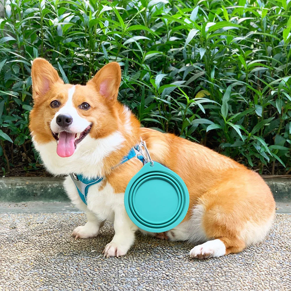 

600ml Pet Drinking Bowl Cat Dog Feeding Bowl Silicone Folding Basin Outdoor Portable High-Capacity Dog Feeder