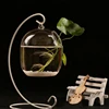 Suspended Transparent Hanging Glass Fish for Tank Bottle Aquarium Flowe 1