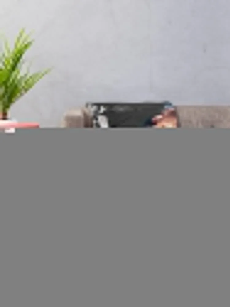 David Harbor ���� �ݶ��� ������ ���, ���Ŀ� ��� �Ϳ��� ���ſ� ���