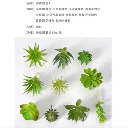 Premium PVC Faux Succulent Plants for Home and Garden Decor (20pcs - Random style - A)